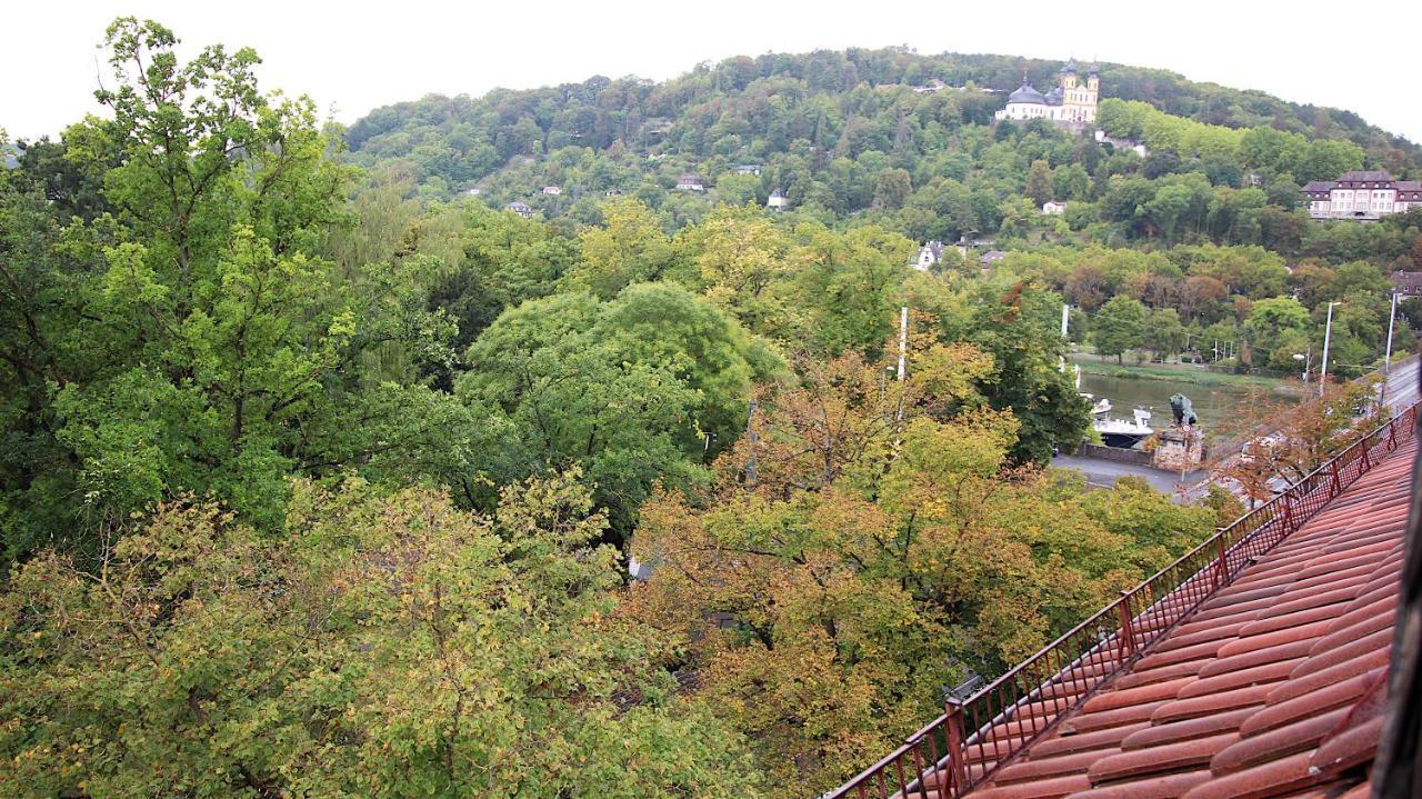 Zentrale Stadtwohnung - Direkt Am Main, Park-ausblick Wurzburg